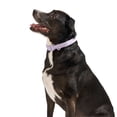 thumbnail image 5 of Wild One Quick-Release Adjustable Dog Collar, Lilac Purple, Large/X-Large, 5 of 6