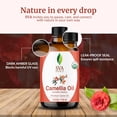 thumbnail image 5 of SVA Camellia Seed Oil Organic - 4 Fl Oz – 100% Natural Cold Pressed Organic Camellia Oil - for Face, Skin Care, Hair Care, Scalp Massage & Body Massage – Carrier Oil with Dropper, 5 of 9