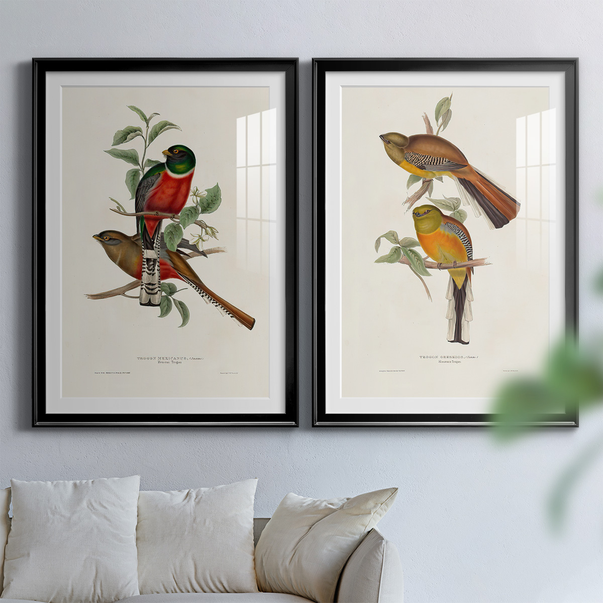 Wexford Home Elegant Trogons I Premium Framed Print, 18.5" x 24.5" - Ready to Hang, Black (Set of 2)