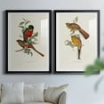 thumbnail image 6 of Wexford Home Elegant Trogons I Premium Framed Print, 26.5" x 36.5" - Ready to Hang, Black (Set of 2), 6 of 9
