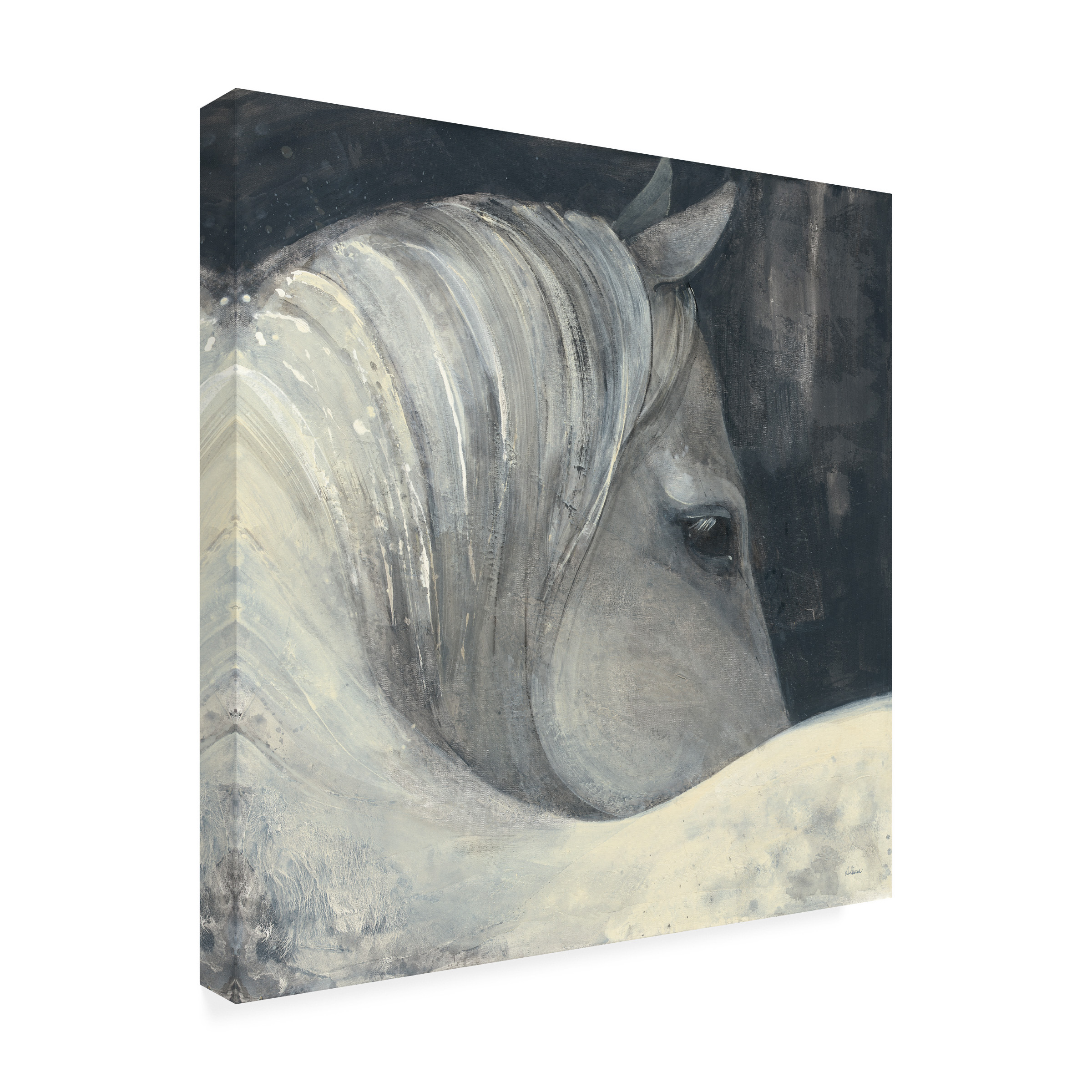 Trademark Fine Art 'Bijou Horse' Canvas Art by Albena Hristova