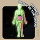 thumbnail image 2 of Kit de maquetas de esqueletos del cuerpo humano que brillan en la oscuridad 2025 para niños, 2 of 7