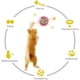 thumbnail image 3 of Juguete Para Gatos Con Ventosa, Tocadiscos, Palo Para Gatos Con Bola De Hierba Gatera, Juguete Divertido Interactivo Para Gatos matsuzay PT002667-02, 3 of 6