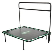 Bbounder Exercise Trampoline Rebounder with Balance Barre and DVD