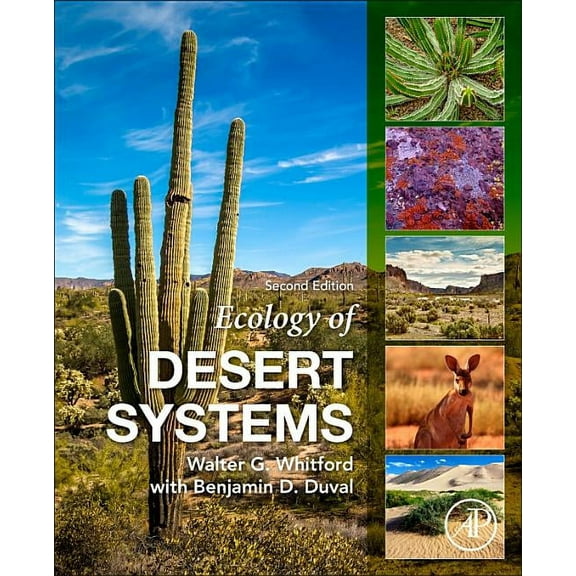 Ecology of Desert Systems, (Paperback)