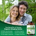 thumbnail image 4 of Zazzee USDA Organic Stinging Nettle 9000 mg – 120 Vegan Capsules – 20:1 Extract – Supports Prostate & Urinary Wellness – Vegan • Non-GMO • Made in USA, 4 of 11