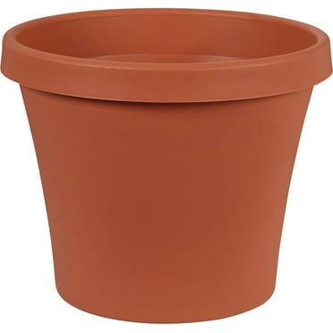 Bloem Terrapot Trcot 12""