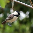thumbnail image 3 of De Kulture Works Wool Sparrow Needle Felted Ornament, Gray, 1 Piece, 3 of 6