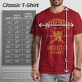thumbnail image 2 of Remera Warner Bros Harry Potter Buscador de Quidditch de Gryffindor, 2 of 4