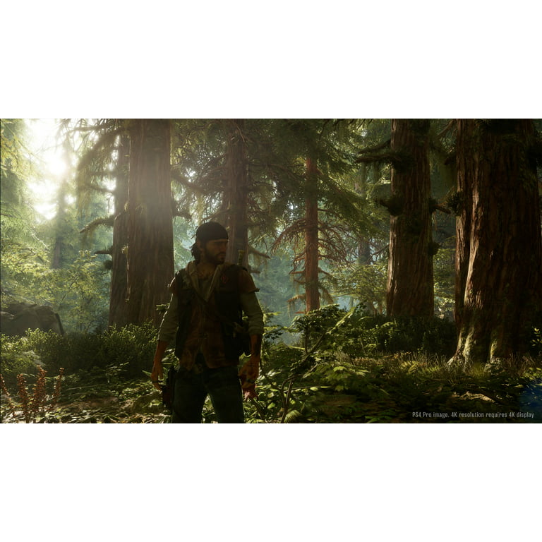 Days Gone Collector's Edition on PS4 - Brand New Opened Only Once  711719522461