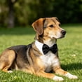 thumbnail image 4 of Adjustable Dog Bow Tie for Neck Girths Extra Large Dogs Comfortable Cotton Tuxedo Necktie Collar Boy Pets Grooming Wedding Holiday Birthday Party Cat Bow Tie White Formal Collar for Small Puppy, 4 of 9
