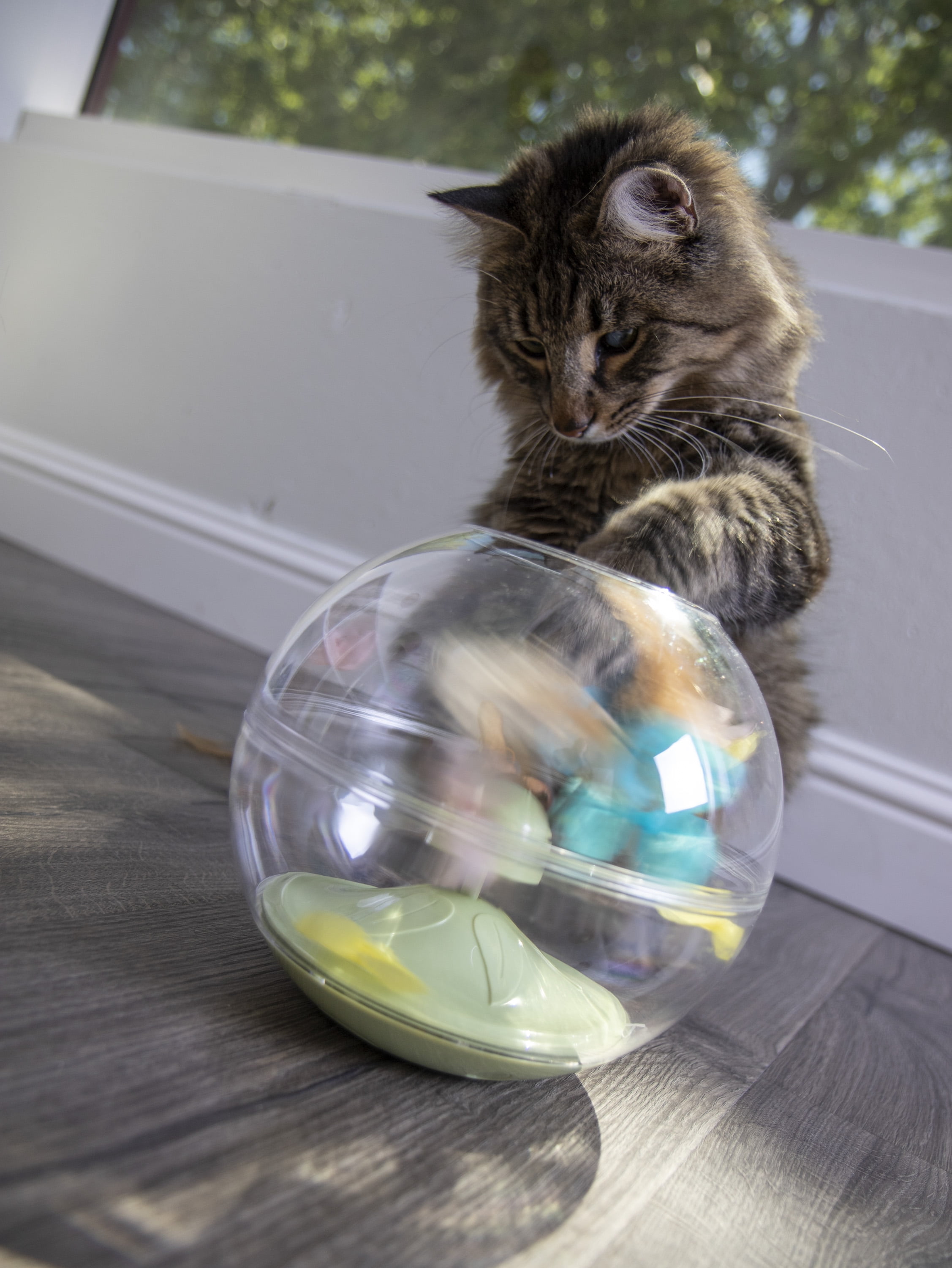 Petlinks hotsell flitter fly