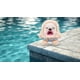thumbnail image 5 of Peluche Fuggler Vacay Vibes Hedge Grog Cream de ZURU, 5 of 7