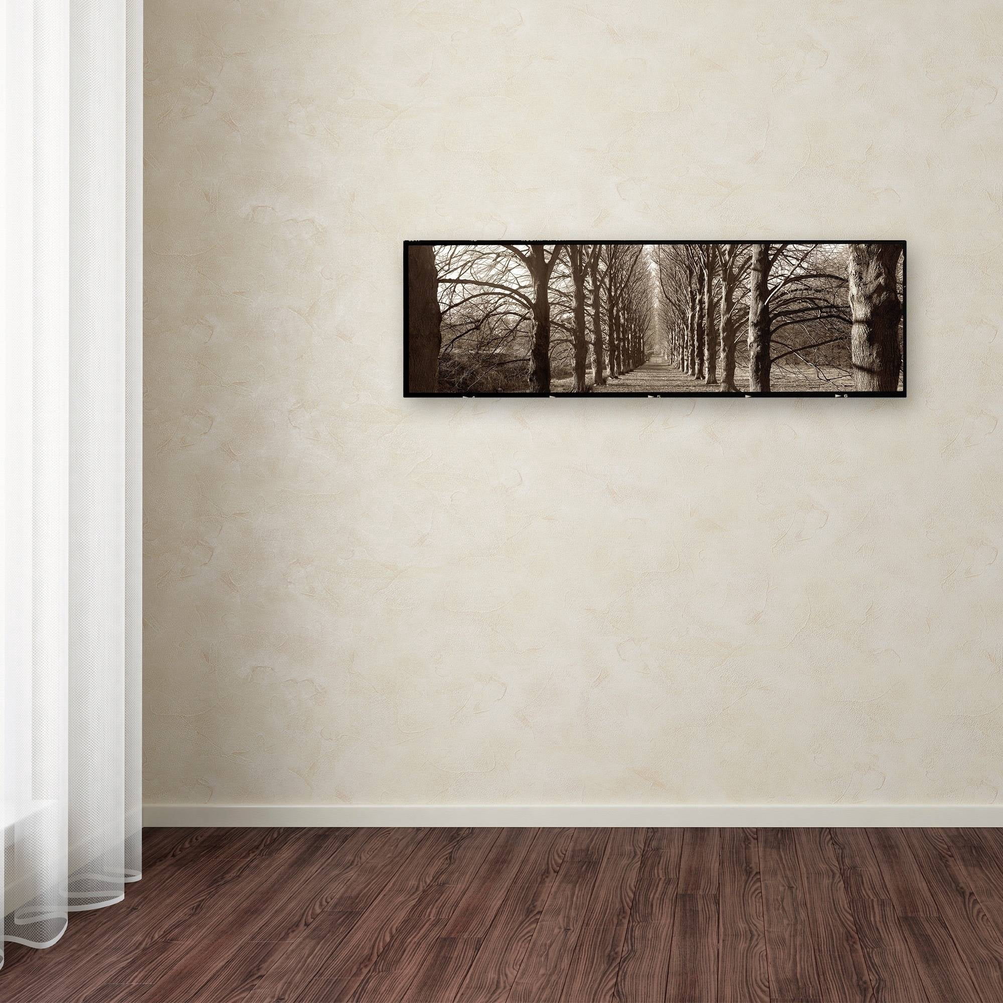 Trademark Fine Art "Hampton Gates Promenade I" Canvas Art by Alan Blaustein