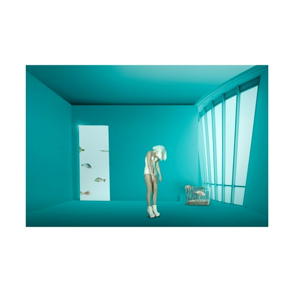 Trademark Fine Art Christine von Diepenbroek Caging Canvas Wall Art