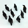 thumbnail image 4 of 16PCS Animal Model Toy Realistic Penguin Shape Animal Figure Animal Toy for Kids, 4 of 7
