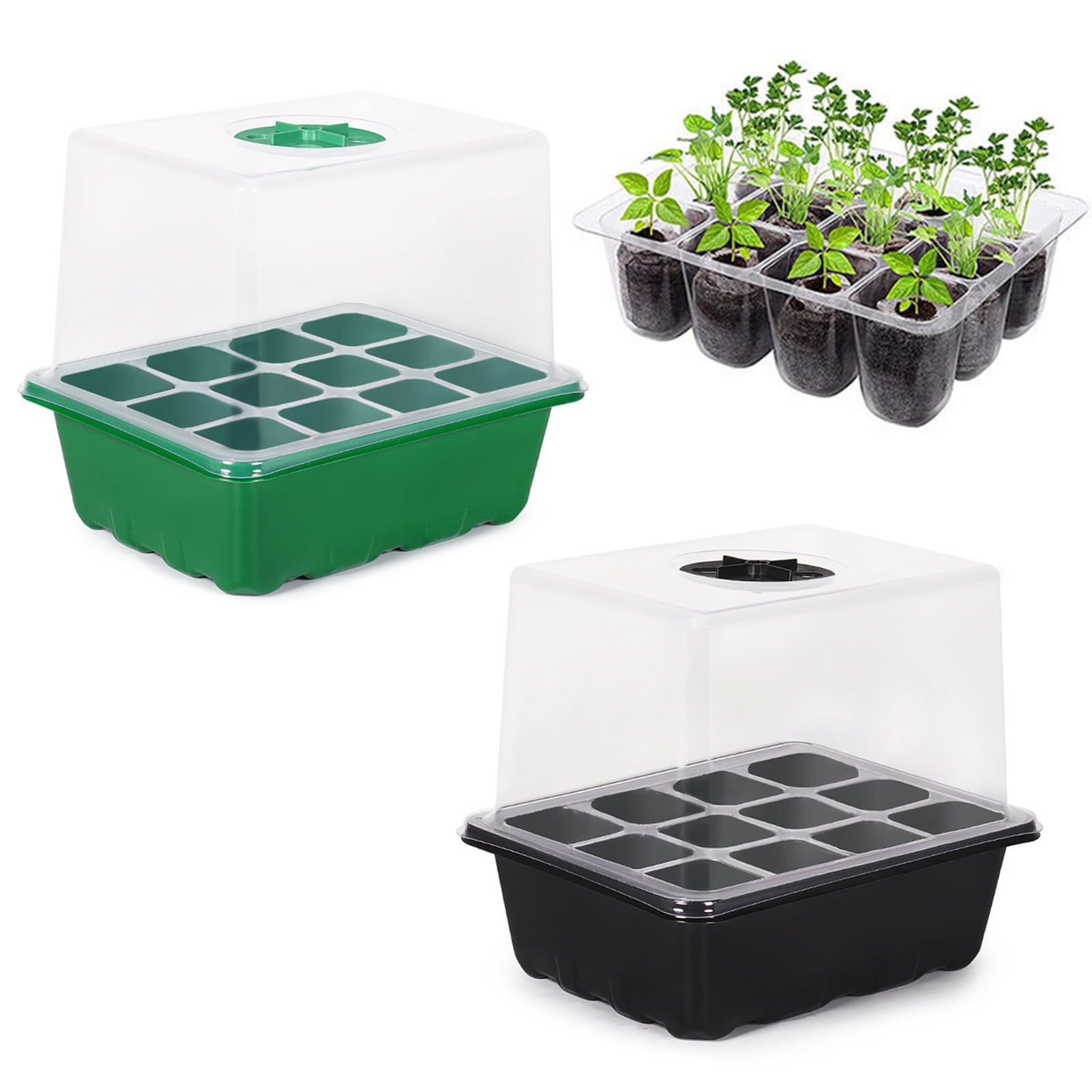 OIUR Seeds Starter Tray 6 Cells/12 Cells Seeds Germination Tray with Adjustable Humidity Vent Plant Nursery Box for Indoor Garden Bonsai Seedlings Starting Growing