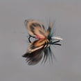 thumbnail image 5 of 10pcs Artificial Simulation Flies Fishing Lures Kit, Fishing Tackle Accessories (Random Color), 5 of 6