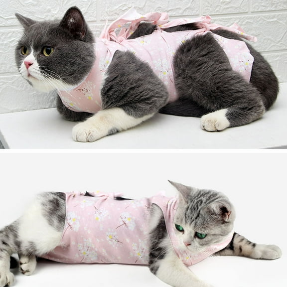 Masteelf  Postoperative Anti-licking Suit Pet Sterilization Recovery Clothes Cat Costume