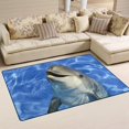 thumbnail image 2 of Coolnut Area Rug 60 x 39 inch (5'x 3'3"), Carpet Portrait of Dolphin Nursery Rug Floor Mat for Hardwood Floor Entrance Living Room Bedroom, 2 of 6