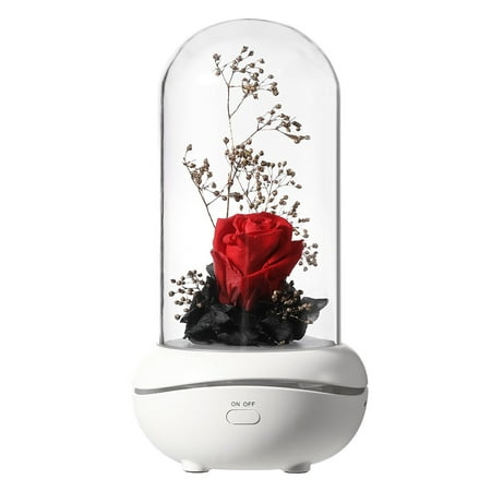 JOYWE Lampe d'aromathérapie fleur immortelle avec lampe de sommeil cadeau  de vacances lampe rose batterie intégrée charge usb souffleur d'encens rouge  | Walmart Canada