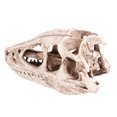 thumbnail image 4 of Dinosaur Skull Model,  High Simulation Resin Dinosaur Skull, Decoration For Office Living Room Desktop, 4 of 8