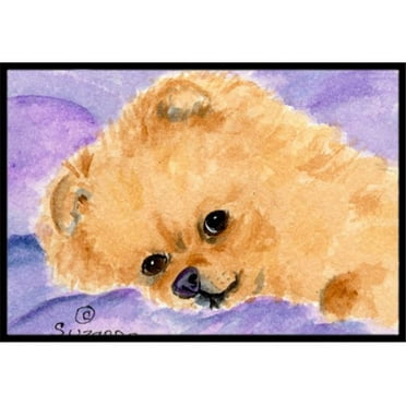 Carolines Treasures  Pomeranian Doormat