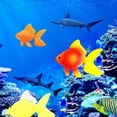 thumbnail image 2 of Meidiya 5Pcs Artificial Fish Aquarium Plastic Floating Clownfish Set,Durable Decor Ornaments for Fish Tank,Underwater Saltwater Fake Colorful Fish for Fish Bowl Simulation Animal Decoration, 2 of 6
