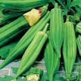 thumbnail image 4 of Ferry-Morse 3.1G Okra Clemson Spineless #80 Annual Vegetable Seeds, Full Sun, 4 of 10