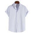 thumbnail image 2 of BLVB Men's Button down T-Shirts Casual Stripe Lapel Short Sleeve Tops Casual Summer Beach Vacation Blouse Tees, 2 of 7
