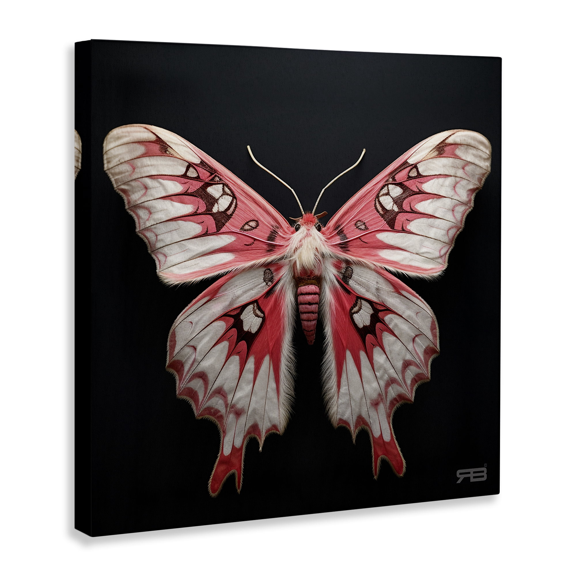 Stupell Industries Red & White Moth Animals & Insects Painting Gallery Wrapped Canvas Art Print Wall Art, 36 x 36