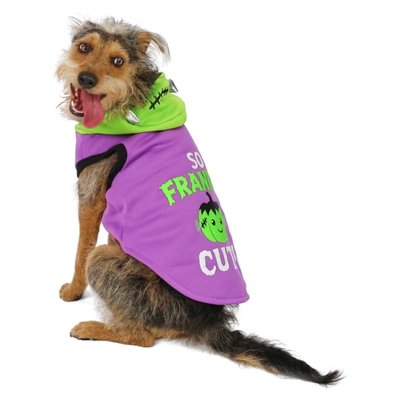 Vibrant Life Halloween Hoodie for Dogs, So Franken Cute, Purple and Green, M