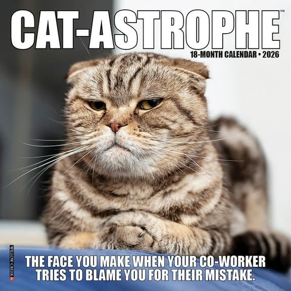 Cat-Astrophe 2026 Mini Wall Calendar, (Paperback)