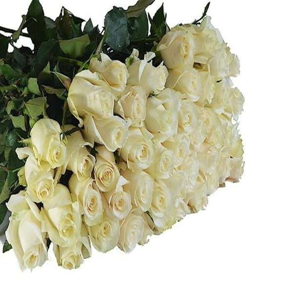KaBloom :50 White Roses, Next-Day Delivery, Gift for Every Occasion.