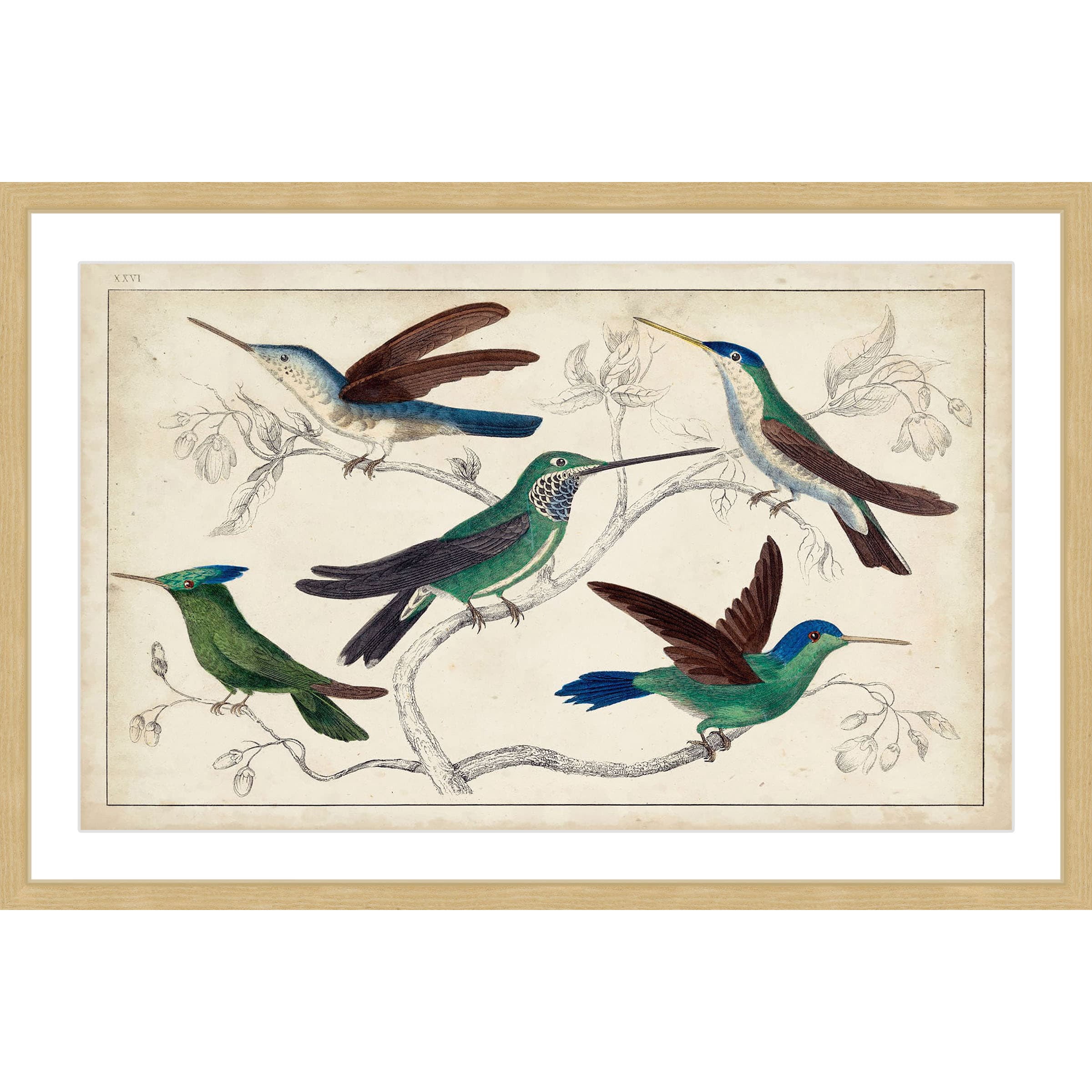 Marmont Hill "Hummingbirds" Framed Painting Print