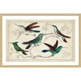thumbnail image 3 of Marmont Hill "Hummingbirds" Framed Painting Print, 3 of 5