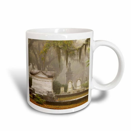 3dRose Georgia, Savannah. Tombstone in Bonaventure Cemetery - US11 JWL0198 - Joanne Wells, Ceramic Mug, 15-ounce