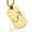 Gold, variant on Stainless Steel Scorpio (Scorpion) Astrology Constellation Dog Tag Pendant Necklace