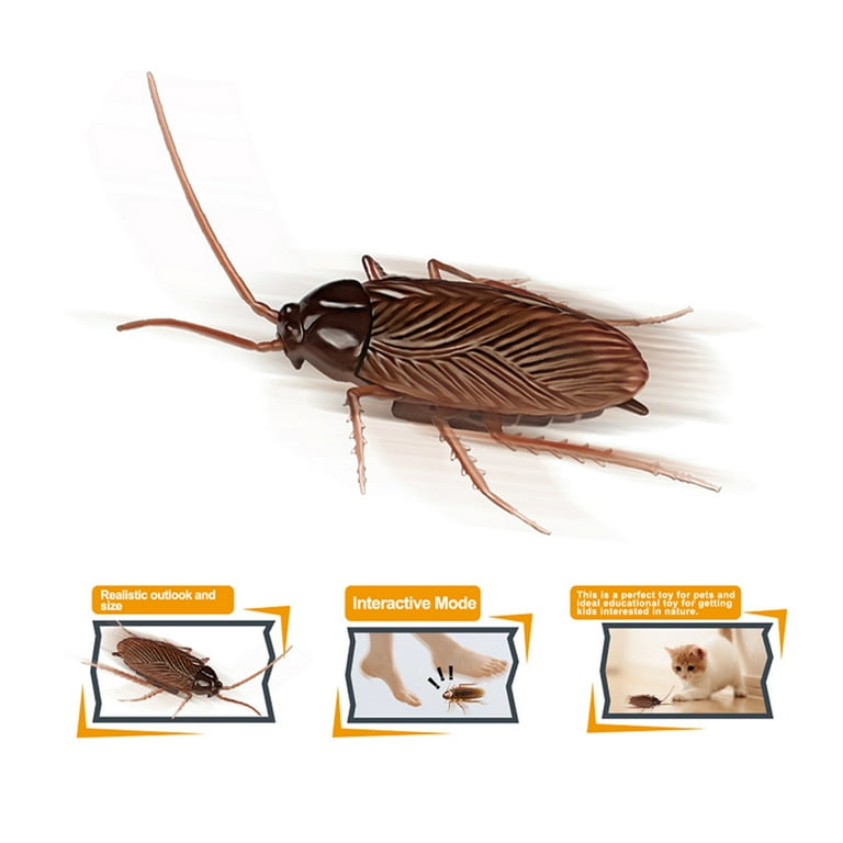 Remote control hotsell roach prank