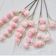 thumbnail image 1 of Qonioi Simulated Lantern Berries Floral Stems, 27.5 Inch Realistic Plastic Fruit Clusters for Home Decor, Versatile Fake Fruit Branches for Wedding Backdrops Table Settings Photography Props, 1 of 6