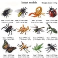 thumbnail image 5 of 12 Pcs Figurines d'Animaux Miniatures - Jouets Éducatifs d'Halloween! la ferme, 5 of 5