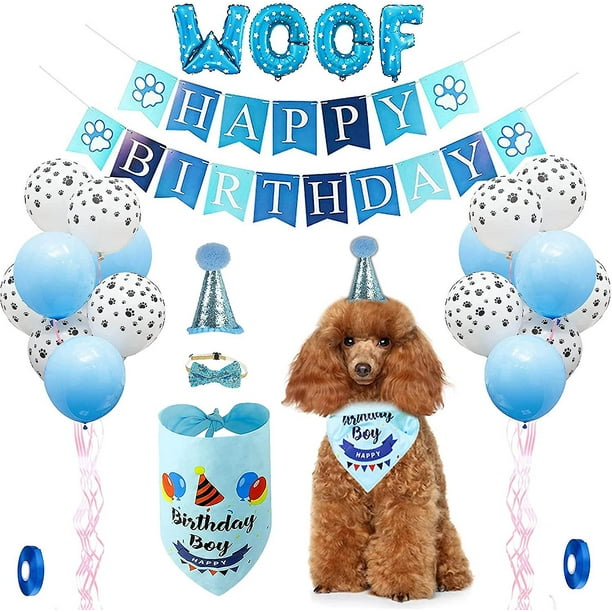 Dog top birthday accessories