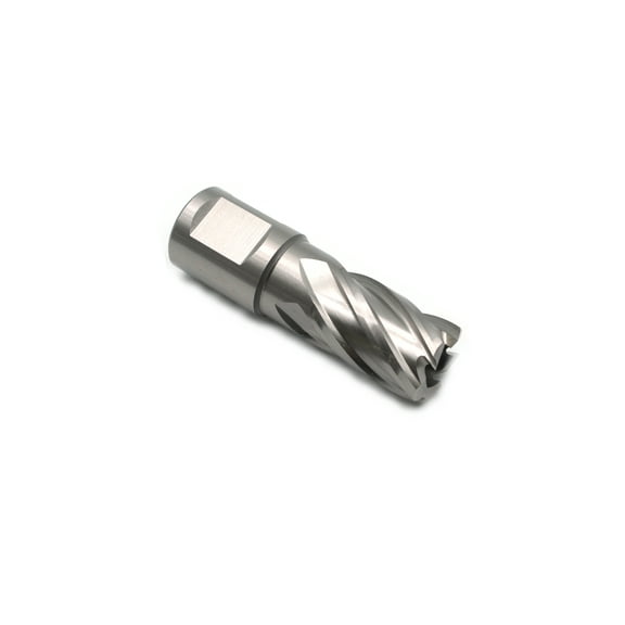 TEMO 11/16 Inch (17.5 mm) M2 Annular Cutter, Weldon Shank, Bright Finish