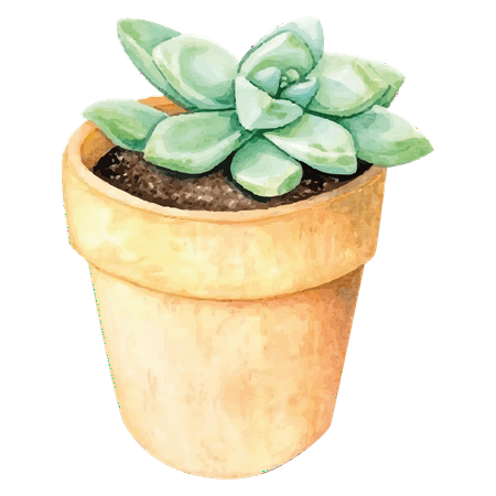 Small Cactus on a Pot Drawing Design for Living Room Vinyl Wall Decal - Plant Painting Art for Relaxing Bedroom Wall Decoration - 20" x 25"