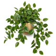 thumbnail image 1 of Planta artificial Briful con forma de sandía sintética, 45 cm, con maceta, 1 of 5