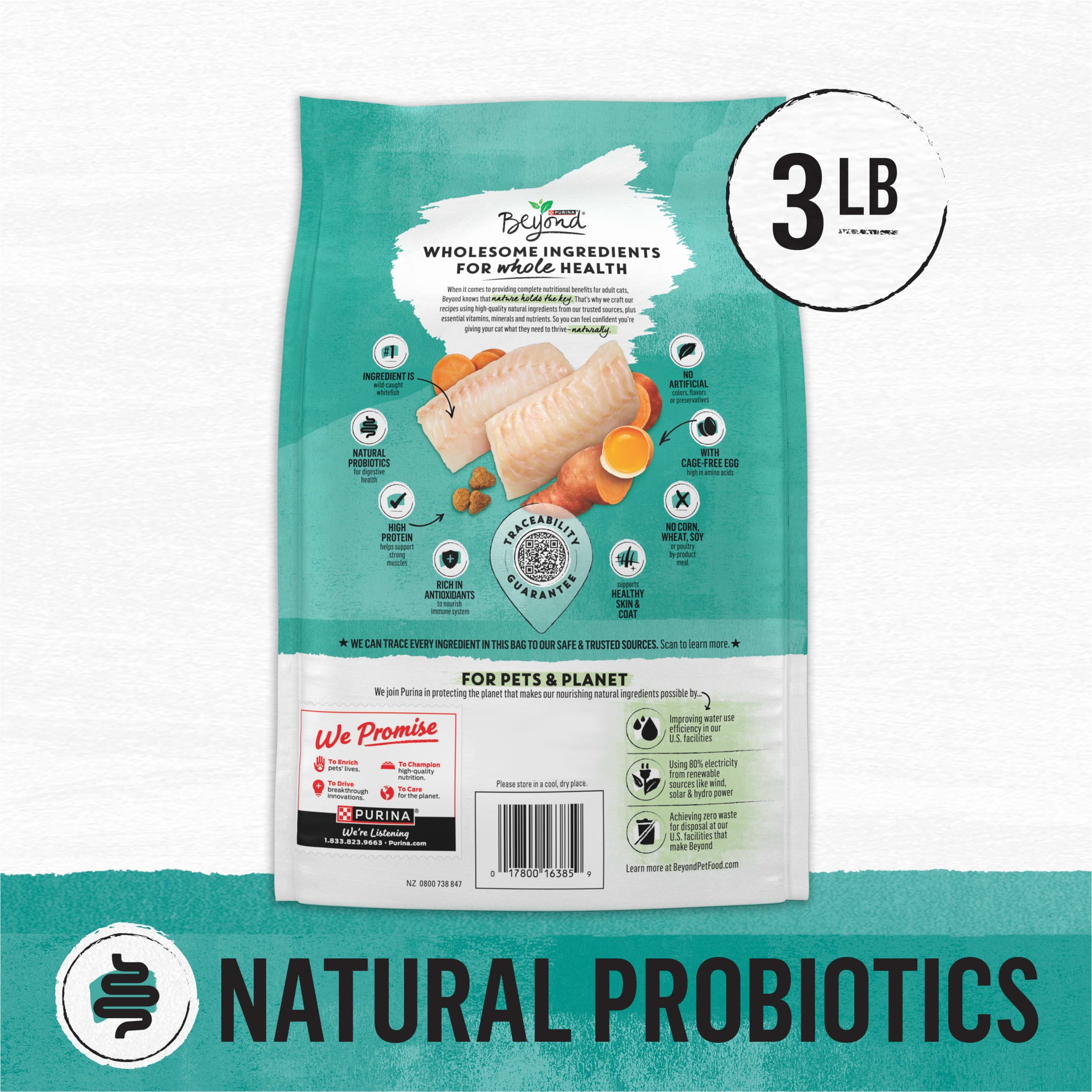 Purina Beyond Grain Free Wholesome Ingredients Dry Indoor Cat Food, Whitefish & Egg, 3 lb Bag