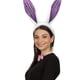thumbnail image 5 of White Diadema navideña - Diadema de conejito de Funny Party Hats, 5 of 5