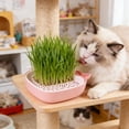 thumbnail image 6 of Dxssxc Whale Shaped Cat Grass Planter, Soilless Hydroponic Growing Kit for Indoor Cats, Wheatgrass Catnip Planting Pot with Drainage, Cute Decorative for Home Kitchen, 6 of 6