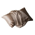 thumbnail image 2 of Naxoaeo 100% Mulberry Silk Pillowcase for Hair and Skin, Natural Silk Pillow Case with Zipper, Both Sided Pure Silk Pillow Cover Gifts for Women Mom Men, 2 of 3