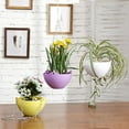 thumbnail image 5 of Visland 35 cm Exquisite Hanging Planter with Metal Chain and Water Injection Hole, 5 of 8